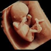 3D Baby Picture 1